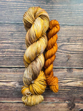 Load image into Gallery viewer, Cozy Rhinebeck sock set