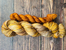 Load image into Gallery viewer, Cozy Rhinebeck sock set