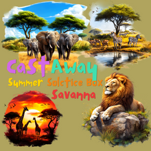 Load image into Gallery viewer, Castaway Summer Solstice Box