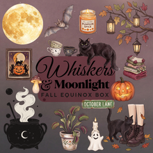 Load image into Gallery viewer, Fall Equinox Mystery Yarn Box
