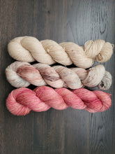 Load image into Gallery viewer, Farm Fresh eggs 3 skein kit