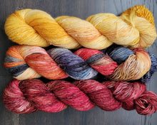 Load image into Gallery viewer, Barnyard 3 skein kit