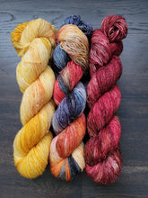 Load image into Gallery viewer, Barnyard 3 skein kit