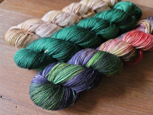 Load image into Gallery viewer, Woolen Woodland Wonders 3 skein kit