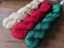 Load image into Gallery viewer, Woolen Woodland Wonders 3 skein kit
