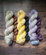 Load image into Gallery viewer, Which witch is which Sock Sets
