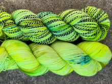 Load image into Gallery viewer, Caterpillar