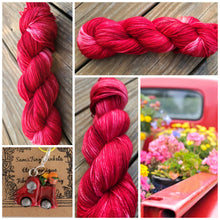 Load image into Gallery viewer, Little Red Truck