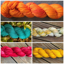 Load image into Gallery viewer, Shawlography 5 skein kits