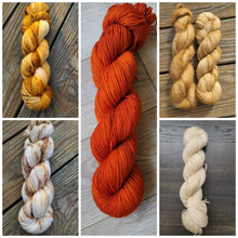 Load image into Gallery viewer, Shawlography 5 skein kits