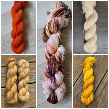 Load image into Gallery viewer, Shawlography 5 skein kits