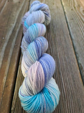 Load image into Gallery viewer, Pond Skating