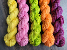 Load image into Gallery viewer, Tulip yarn minis