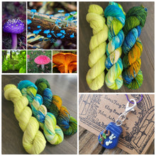 Load image into Gallery viewer, Firefly 3 skein kit