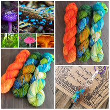 Load image into Gallery viewer, Enchanted Pond 3 skein kit