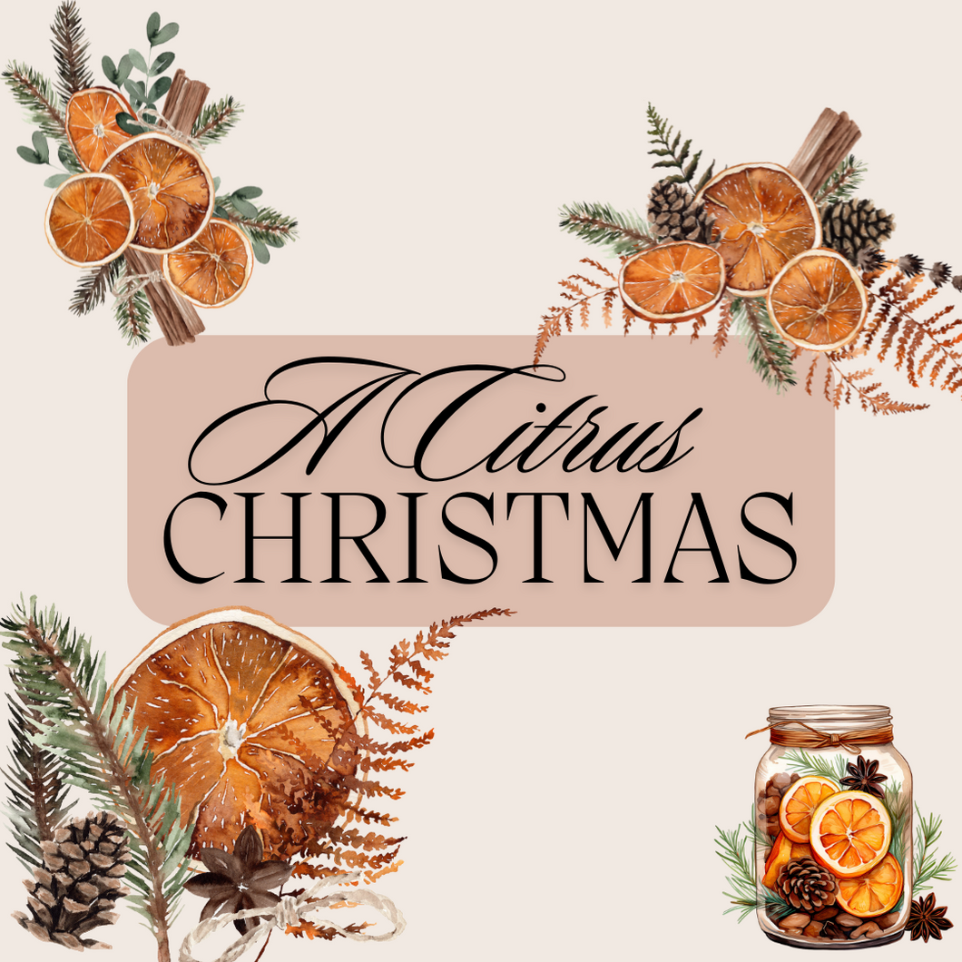 A Citrus Christmas in July Box