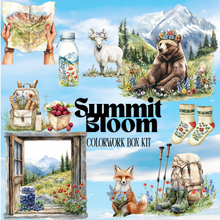 Load image into Gallery viewer, Summit Bloom Colorwork Box
